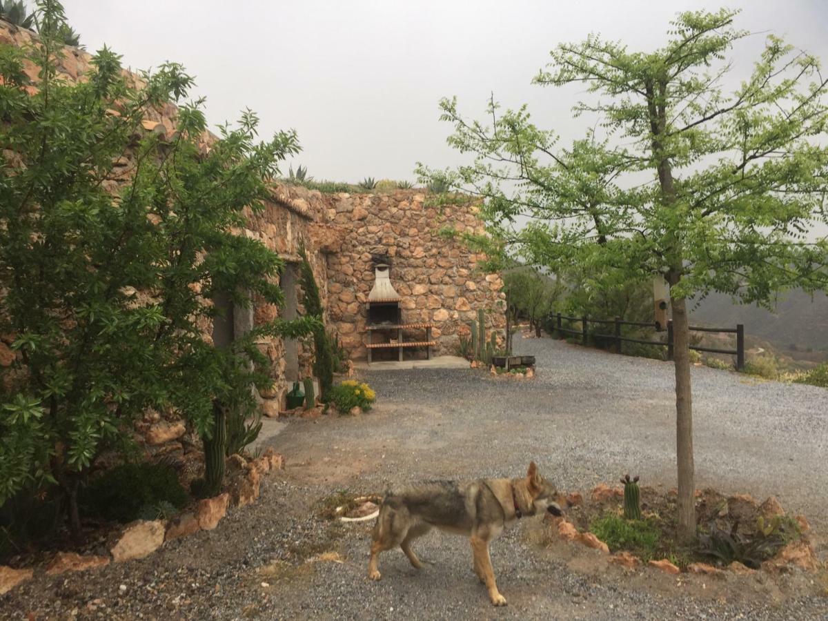 Cuevas El Torriblanco Guest House Gorafe Екстериор снимка